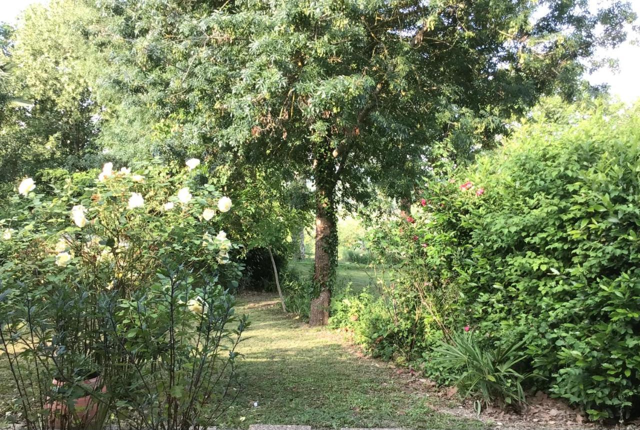 Le Gite De Gascogne Lectoure Exterior foto